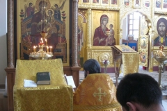 Moleben_Vsecarice_na_Verbnoe_Voskresenie_24.04.2016_004