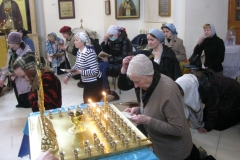 Moleben_Vsecarice_na_Verbnoe_Voskresenie_24.04.2016_006