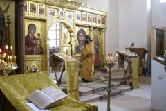 Moleben_Vsecarice_na_Verbnoe_Voskresenie_24.04.2016_007