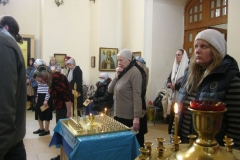 Moleben_Vsecarice_na_Verbnoe_Voskresenie_24.04.2016_020