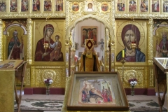 Moleben_Vsecarice_na_Verbnoe_Voskresenie_24.04.2016_14