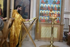 Moleben_Vsecarice_na_Verbnoe_Voskresenie_24.04.2016_16