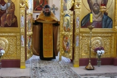 Moleben_Vsecarice_na_Verbnoe_Voskresenie_24.04.2016_43