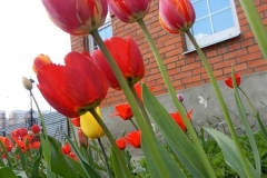 Velikaya_Subbota_30.04.2016_029