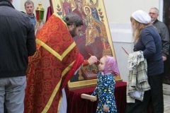 Krestniy_hod_bolnitsa_07.05.2016_161