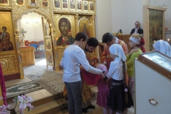 Nedelya_Zhen_Mironosits_Kosma_2016_07