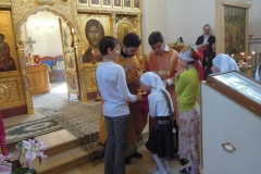 Nedelya_Zhen_Mironosits_Kosma_2016_08