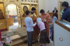 Nedelya_Zhen_Mironosits_Kosma_2016_09