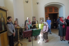 Nedelya_Zhen_Mironosits_Kosma_2016_12