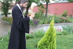 Prazdnik_posadki_tuiy_08-09-2016_06