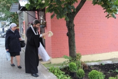 Prazdnik_posadki_tuiy_08-09-2016_07