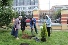 Prazdnik_posadki_tuiy_08-09-2016_08