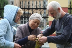 Prazdnik_posadki_tuiy_08-09-2016_11