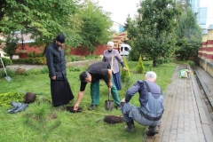 Prazdnik_posadki_tuiy_08-09-2016_16