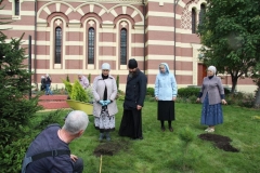 Prazdnik_posadki_tuiy_08-09-2016_18