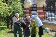 Prazdnik_posadki_tuiy_08-09-2016_21