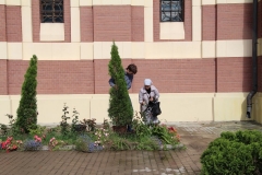 Prazdnik_posadki_tuiy_08-09-2016_29