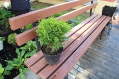 Prazdnik_posadki_tuiy_08-09-2016_30