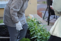 Prazdnik_posadki_tuiy_08-09-2016_50