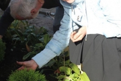 Prazdnik_posadki_tuiy_08-09-2016_51