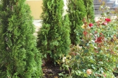 Prazdnik_posadki_tuiy_08-09-2016_53