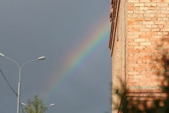 Prazdnik_posadki_tuiy_08-09-2016_67