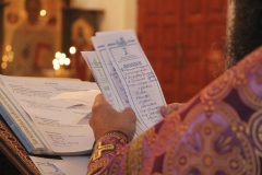 Useknovenie_Glavy_Ioanna_Krestitelya_2016_19