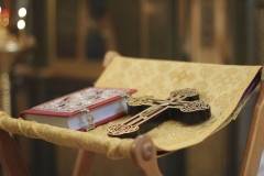 Liturgiya_na_Amvrosiya_Optinskogo_23-10-2016_06