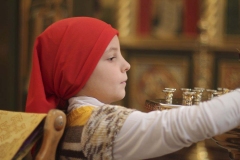 Liturgiya_na_Amvrosiya_Optinskogo_23-10-2016_07
