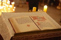 Roditelskaya_04.11.2016_02