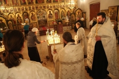 Roditelskaya_04.11.2016_03