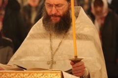 Roditelskaya_04.11.2016_05