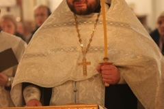 Roditelskaya_04.11.2016_10