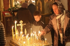 Roditelskaya_04.11.2016_12