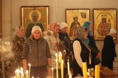 Roditelskaya_04.11.2016_14