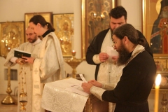 Roditelskaya_04.11.2016_17