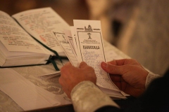 Roditelskaya_04.11.2016_18