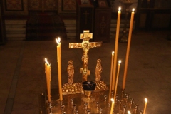 Roditelskaya_04.11.2016_19