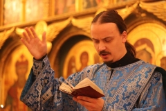 Liturgiya_Kazanskaya_04.11.2016_06