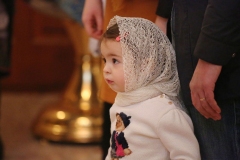 Liturgiya_Kazanskaya_04.11.2016_12