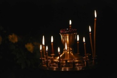 Vsenoscnoe_prestol_13-11-2016_04