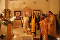 Vsenoscnoe_prestol_13-11-2016_07