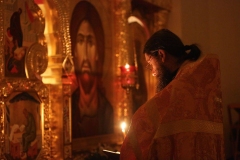 Vsenoscnoe_prestol_13-11-2016_12