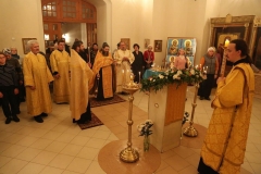 Vsenoscnoe_prestol_13-11-2016_14