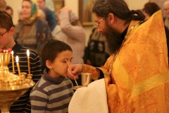 Vsenoscnoe_prestol_13-11-2016_21