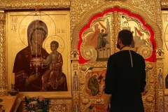 Vsenoscnoe_prestol_13-11-2016_25