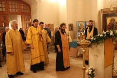 Vsenoscnoe_prestol_13-11-2016_26