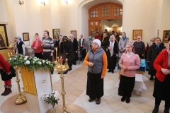 Liturgiya_prestol_14-11-2016_06