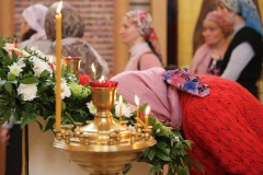 Liturgiya_prestol_14-11-2016_07