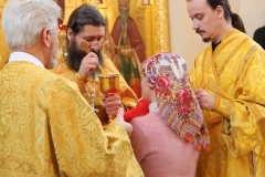 Liturgiya_prestol_14-11-2016_21